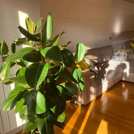 Apartman Ondarreta - Singular Y Exclusivo *