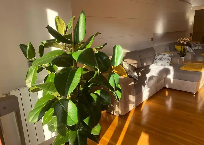 アパート Ondarreta - Singular Y Exclusivo *