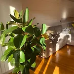 Apartment Ondarreta - Singular Y Exclusivo *